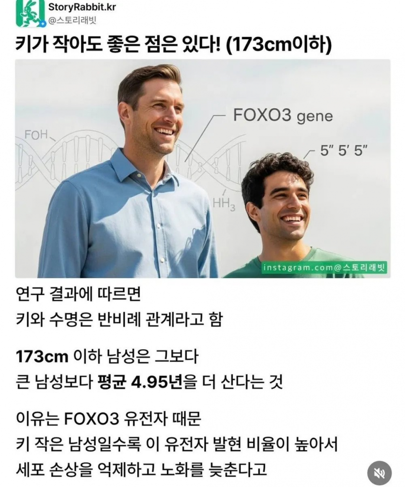 019895a624a1de54f922a9aa14a7e311_1761972720_2258.png
